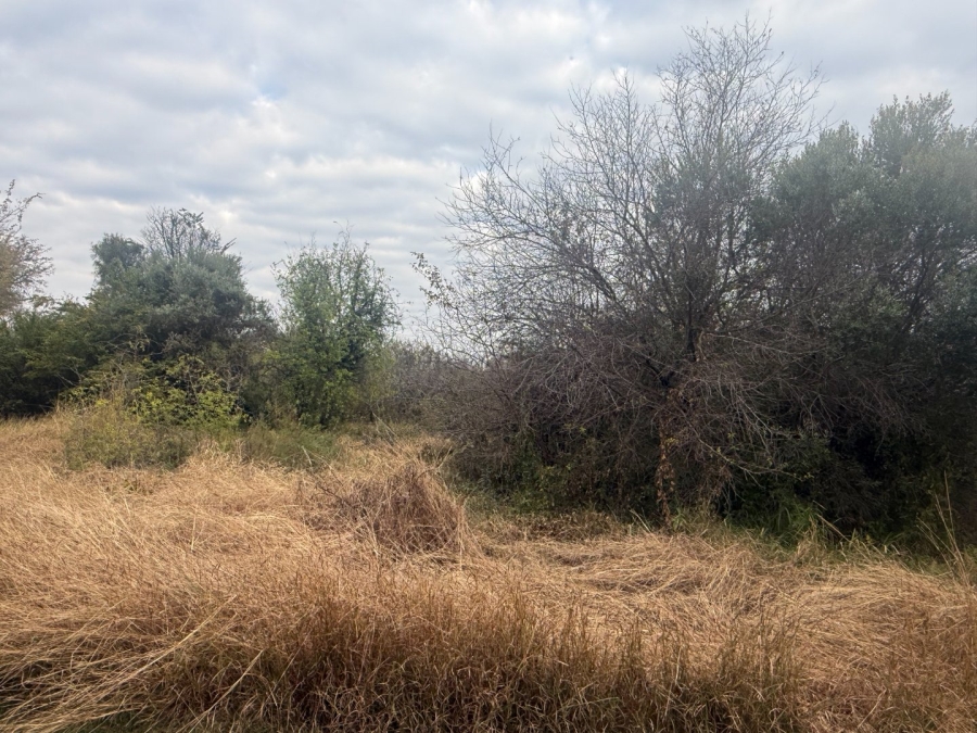 Commercial Property for Sale in Meerhof North West